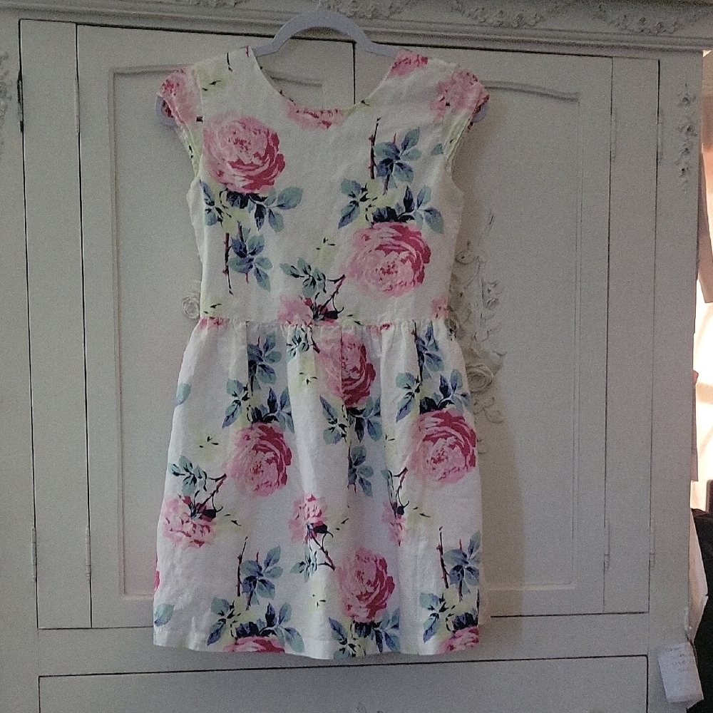 GAP Floral Dress in Pink and Blue